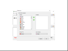 Ace Translator - preferences