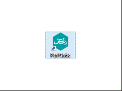 ActivePerl - logo