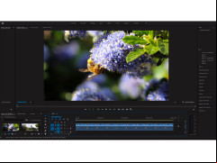 Adobe After Effects CC - premiere-example