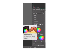 Adobe Camera Raw - color-grade