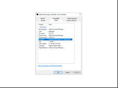 Adobe Flash Player - details