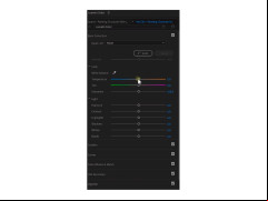 Adobe Premiere Pro CC - color-settings