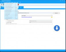 Allavsoft screenshot 3