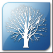 Apache Directory Studio logo