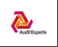 Audit Expert
