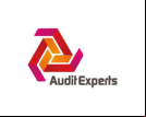 Audit Expert logo