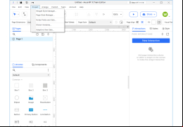 Axure RP - project