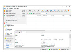 BitComet - file-settings