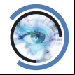 Blue Iris logo