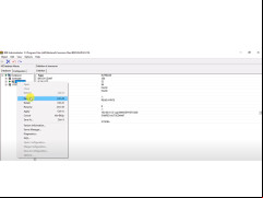 Borland Database Engine - options