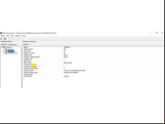 Borland Database Engine - server-info