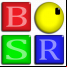 BSR Screen Recorder