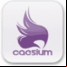 Caesium