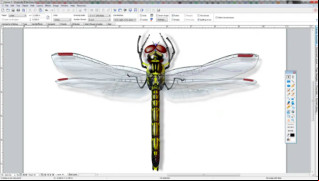 Canvas X screenshot 1