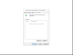 Cookie Quick Manager - previous-versions