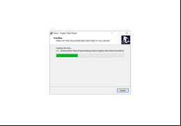Digital Video Repair - installation-process