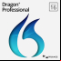 Dragon Professional Individual