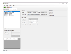 Easy View - Crystal Reports Viewer - settings-in-application
