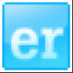 EasyRecovery Professional logo