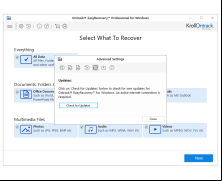 EasyRecovery Professional - update