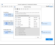 EasyRecovery Professional - file