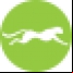 Embarcadero Rapid SQL