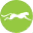 Embarcadero Rapid SQL logo