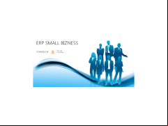 ERP SMALL BIZNESS - loading-screen