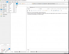 EssentialPIM screenshot 3