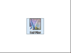Exif Pilot - logo