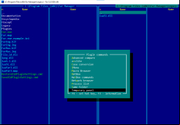 FAR Manager - plugins