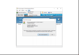 File Scavenger - about-application