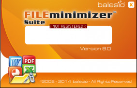 FILEminimizerSuite screenshot 2