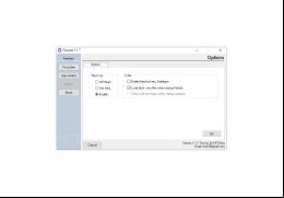 FixAuto - options