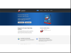 FlareGet - website