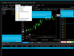 Forex Simulator - reports