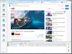 GetFLV screenshot 2