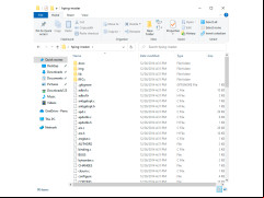 Hping - main-folder