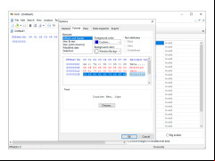 HxD Hex Editor - options-format