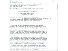 IE Tab - license