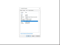 IE Tab - details