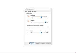 IntelliType Pro - speed-settings