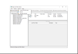 Junk Files Remover - options