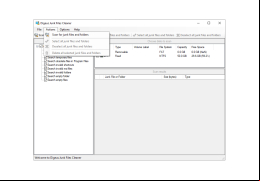 Junk Files Remover - actions