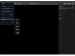 Luminar - available-languages