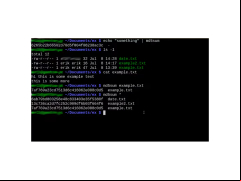 MD5Sum - use-command
