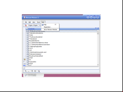 Merriam-Webster Medical dictionary - help-menu