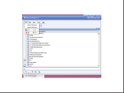 Merriam-Webster Medical dictionary - file-menu