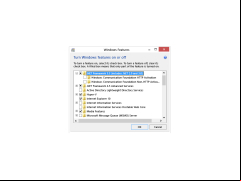 Microsoft.NET Framework 3.5 Offline Installer - windows-features