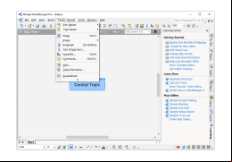 MindManager - topic